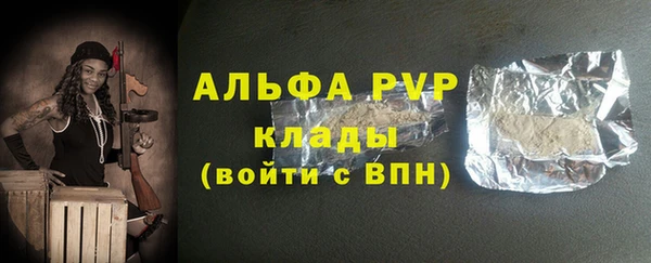 индика Богородицк