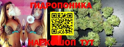 ПСИЛОЦИБИНОВЫЕ ГРИБЫ Балахна