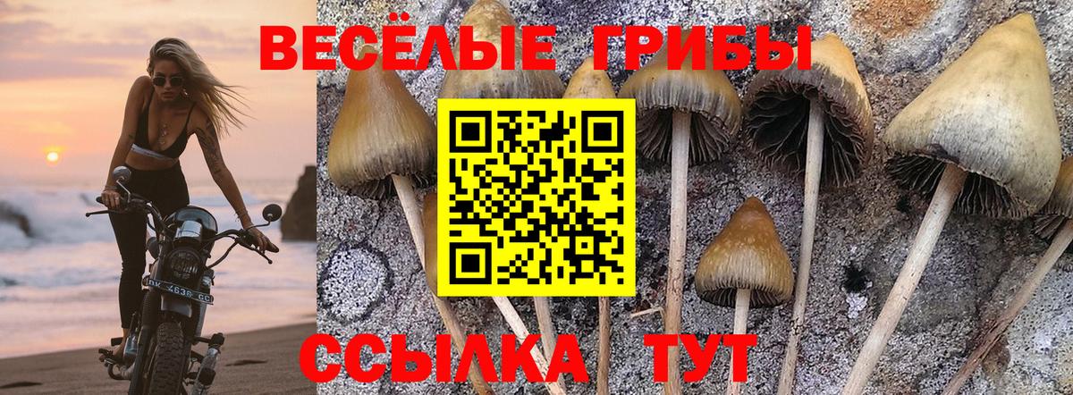 Галлюциногенные грибы прущие грибы  Вход с VPN  Псилоцибиновые грибы прущие грибы  Брянск 
