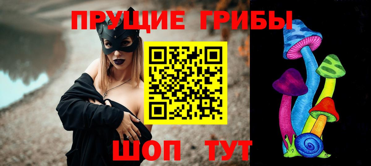 Псилоцибиновые грибы Psilocybe  Брянск  Галлюциногенные грибы мухоморы 